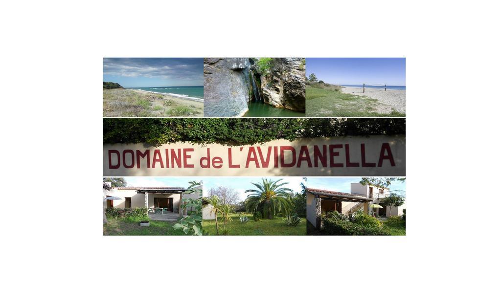 Domaine De L'Avidanella Apartment Santa-Lucia-di-Moriani Exterior photo